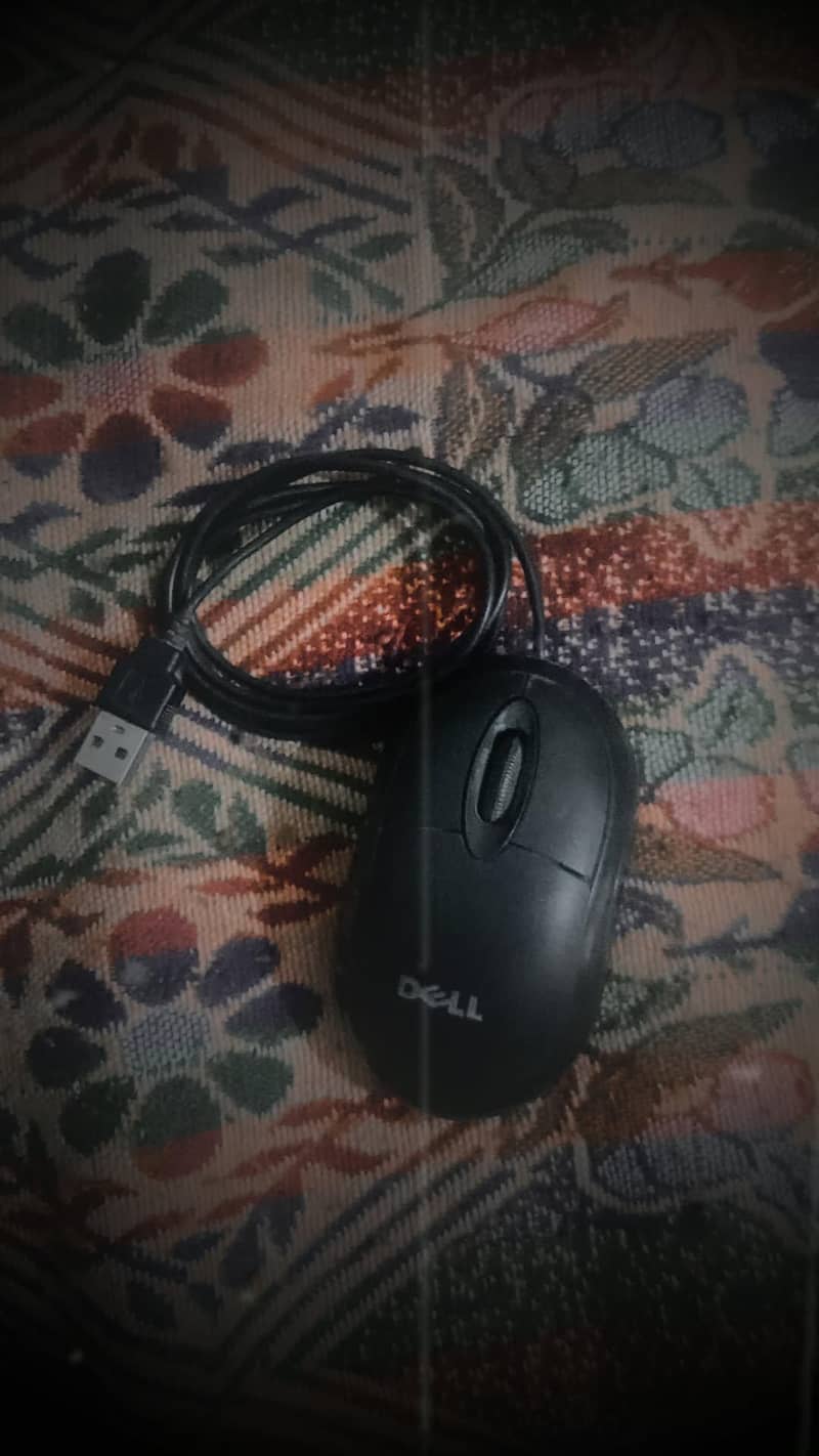 Mouse 1