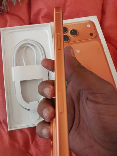 17 pro. max jv lla full box 10by10