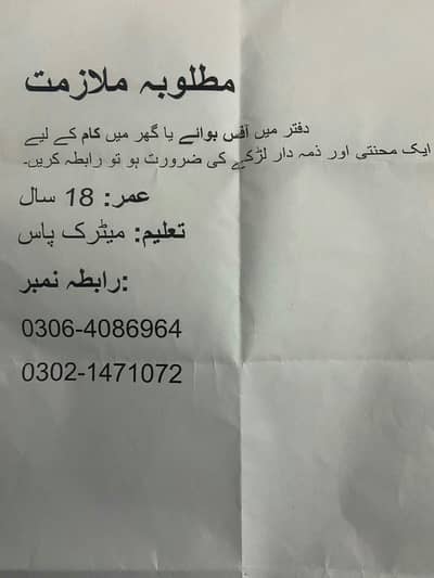 Noman Ijaz Office Boy Job