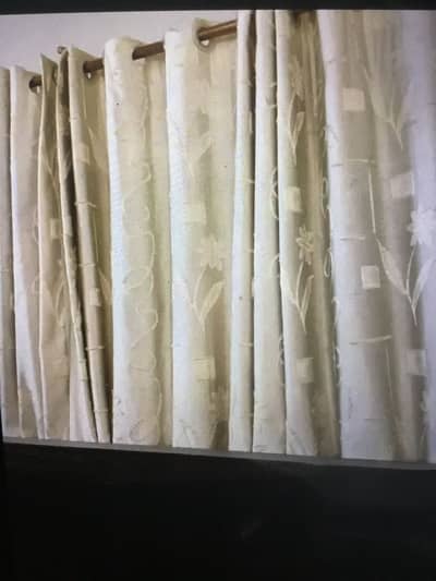 Curtain