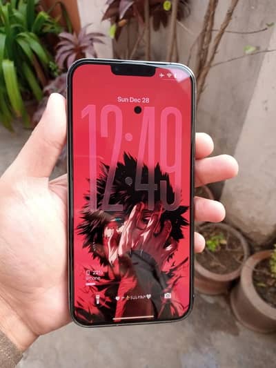 iPhone 13 Pro Max 256GB