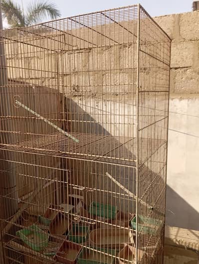 folding cages for sale