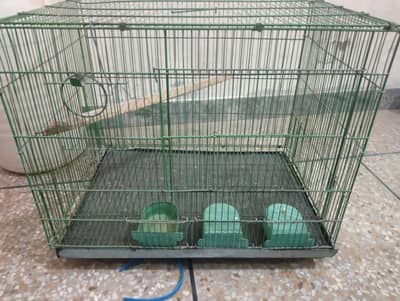 parrots cage