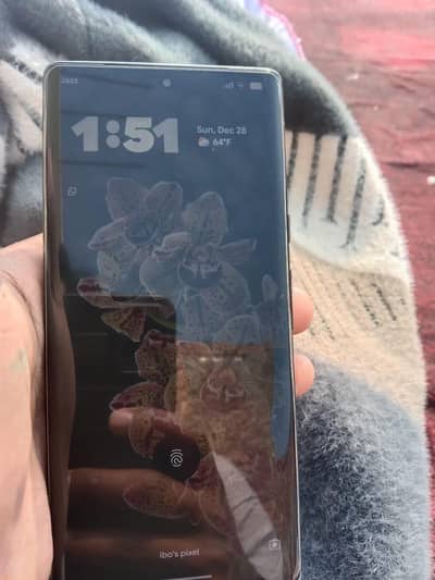 Pixel 6 Pro PTA Approved