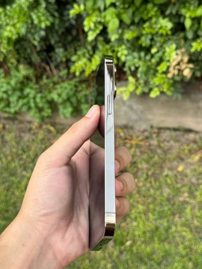 14 Pro Max PTA Approved