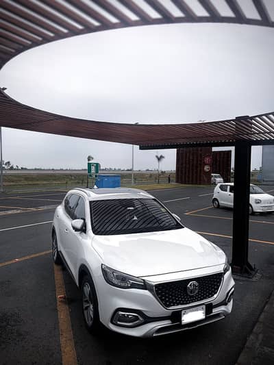 Australian import mg hs