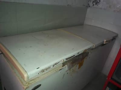 2 door waves deep freezer