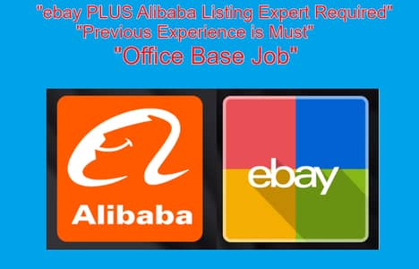 eBay & Alibaba Product Listing Expert (Multiple Categories)