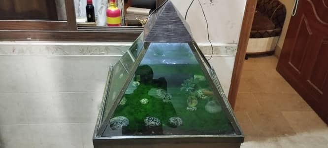 Aquarium for sale
