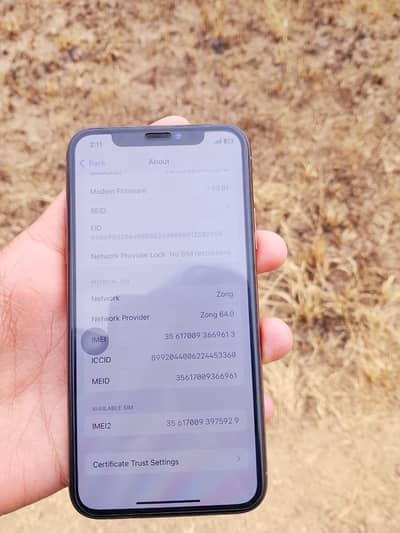 Iphone xs non ptA sim working