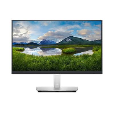 Dell 22 inch LCD