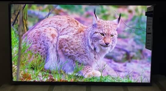 Changhong Ruba 40” Android Smart LED TV Ai point