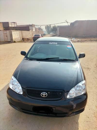 Gli 2007; model  colour black