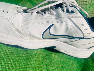 Classic Style, Premium Performance – Nike Air Monarch