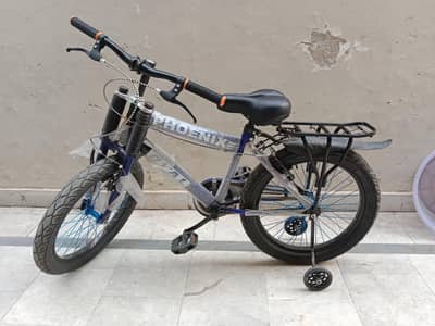 Bicycle for sale