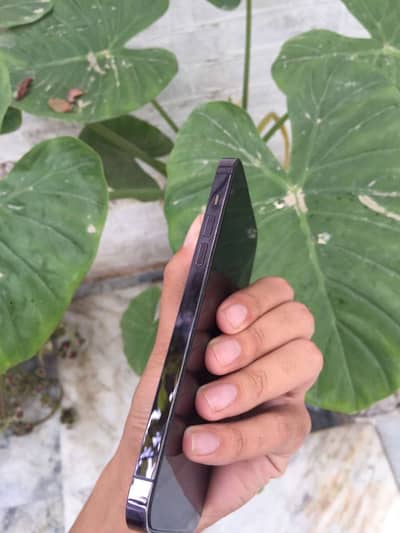 14 PROMAX 256 GB 85 HEALTH JV FULL OK WATER PROOF NO DOT OR SCRECCES