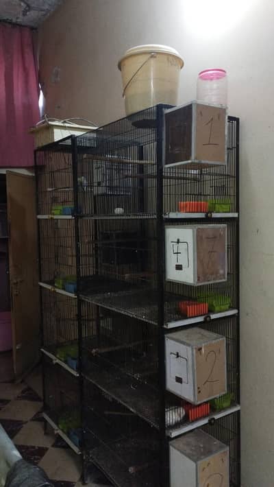 1.5. 1.5 And 1.5. 2 birds Cages