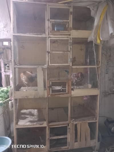 misri murgha aur pinjra