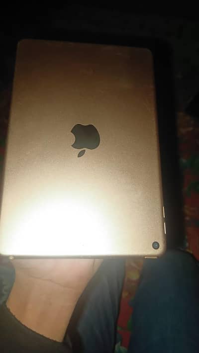 Ipad mini 5