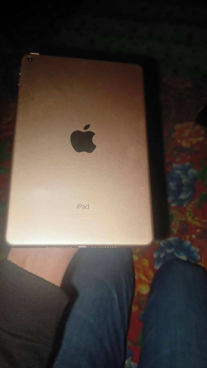 Ipad mini 5 1