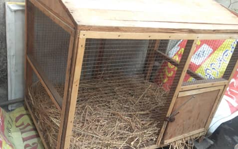 Wooden Chicken / Hen Cage for Sale – Strong & Handmade