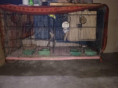 cage available