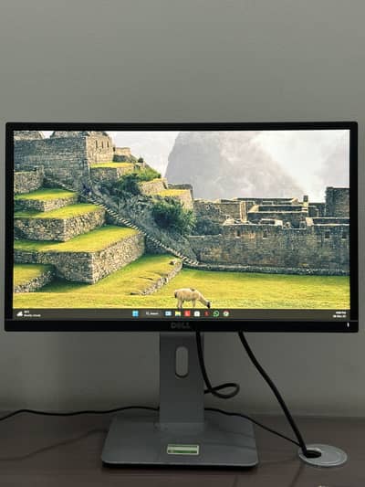 DELL 22 Inch LED Monitor