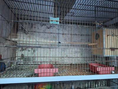 Cages for sale