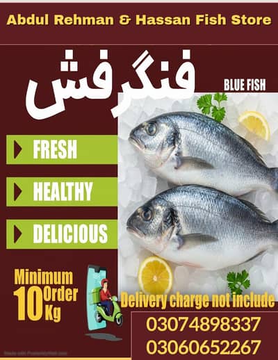 fresh seafood, fresh fish ,frozen seafood , fresh fish for sale