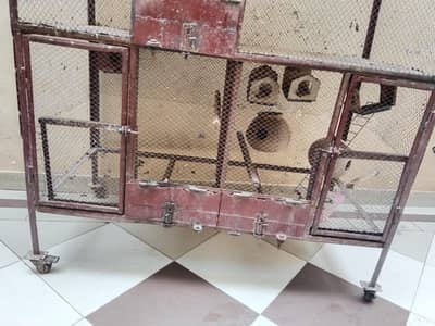 cage (Pinjra for parrots and hens)