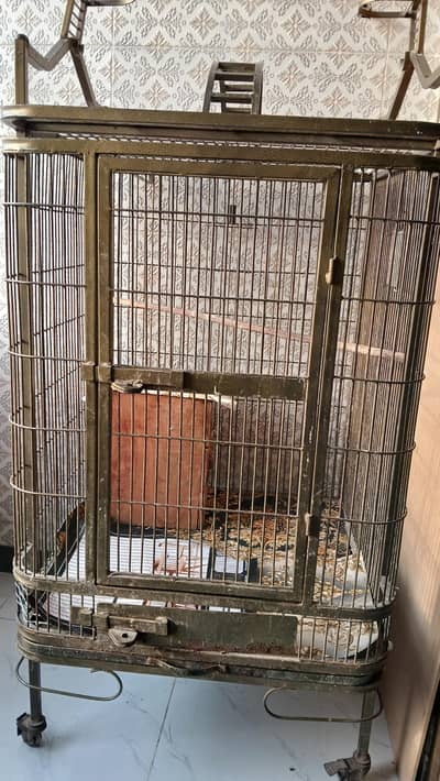 Metal Cage for Parrots