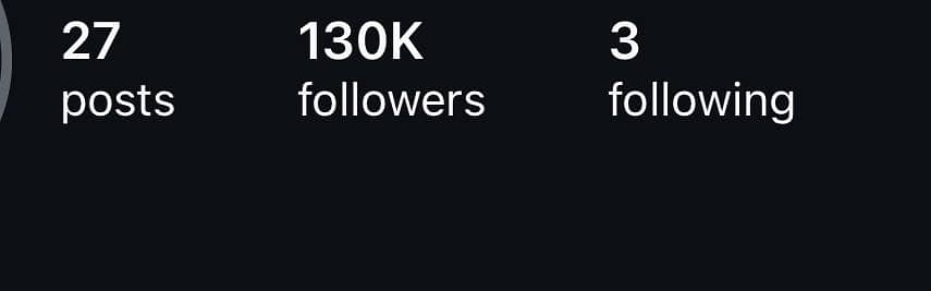 Instagram & TikTok services