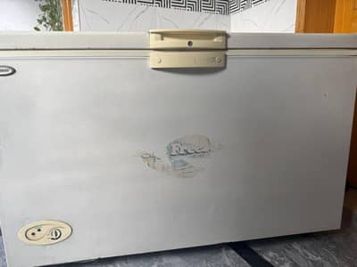 D Freezer Double Door