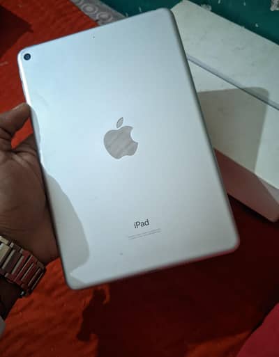 I Padmini 5  64 GB 100% Trusted  Face to face Deal Available
