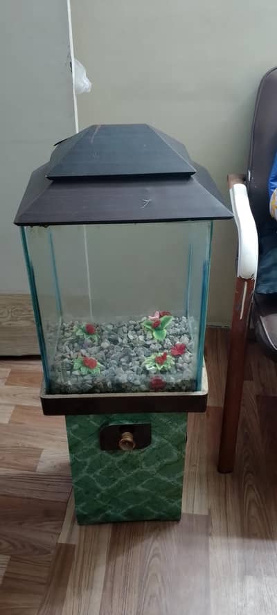 Fish Tank Aquarium