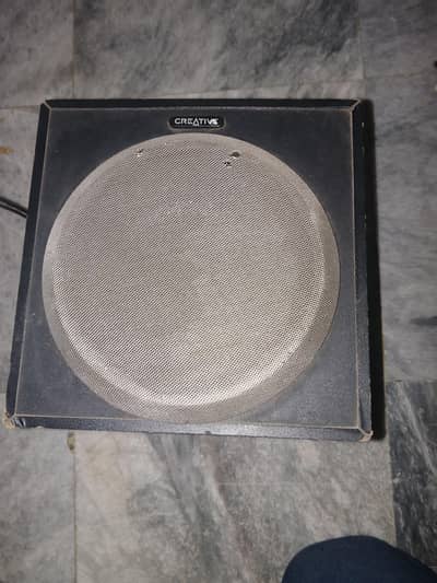 Creative Speaker Used