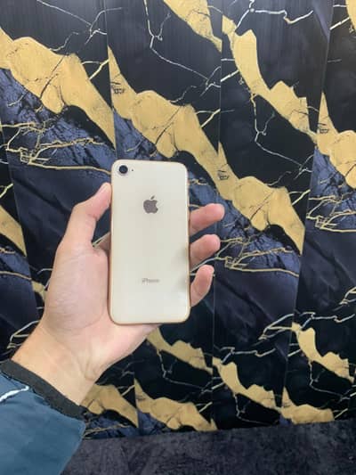 Iphone 8 Pta Approved