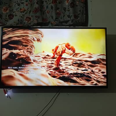 Eco Star LED 42"