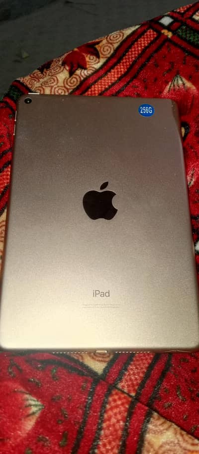 IPad Mini 5 Apple 256 GB