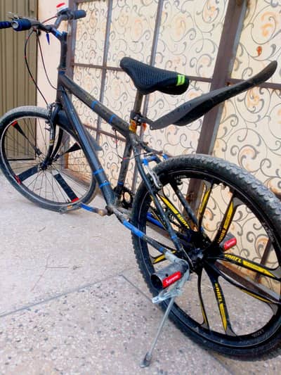 Phoenix cycle (size26)