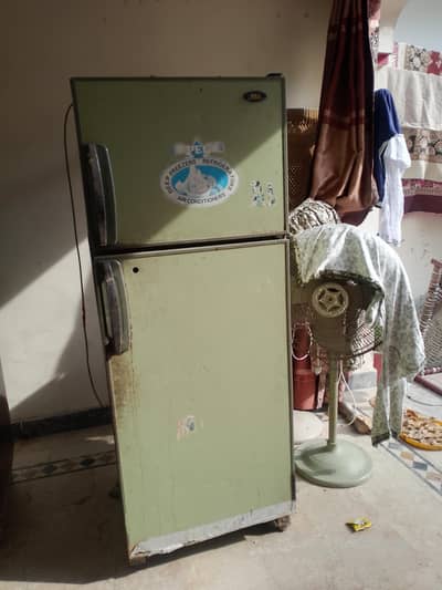 Full Large size PEL Refrigerator