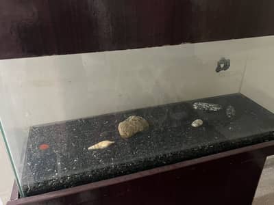 Aquarium for sale!