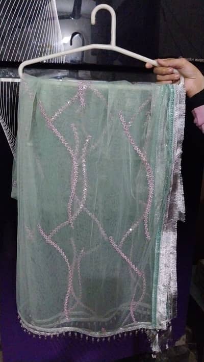 Stunning Mint Green Heavy Embroidered Maxi - Bridal/Party Wear