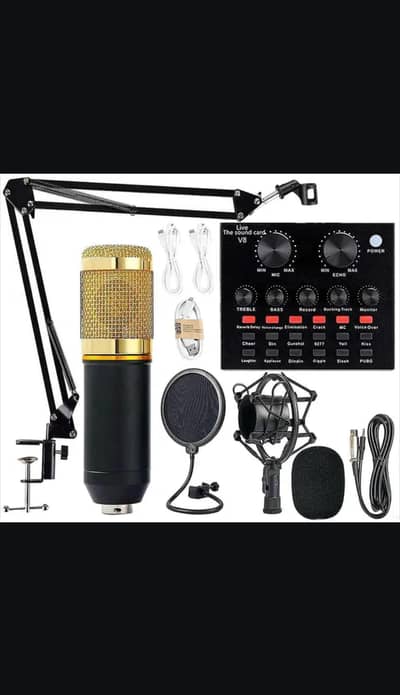 BM 800 V8S Professional Condenser Mic for recording new box packed
