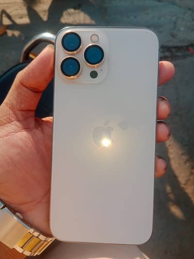 iPhone 13 Pro Max fu