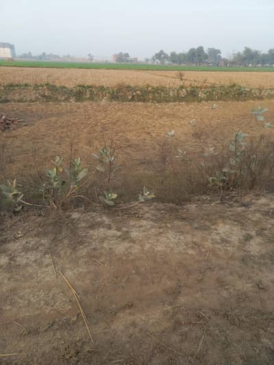 5 Marla plot for sale