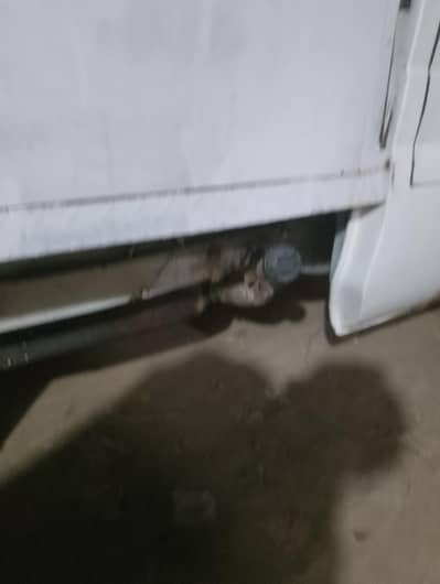 dolphin pickup mini truck