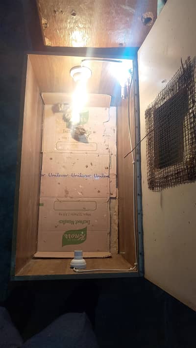 moti ply Ka hai brooder  big size