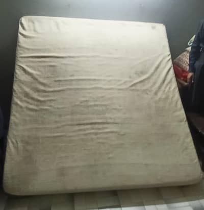 Sell Master Molty Foam only 13,500