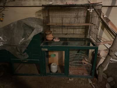 4 cages  one big parrots cage , one medium parrot and one small parrot